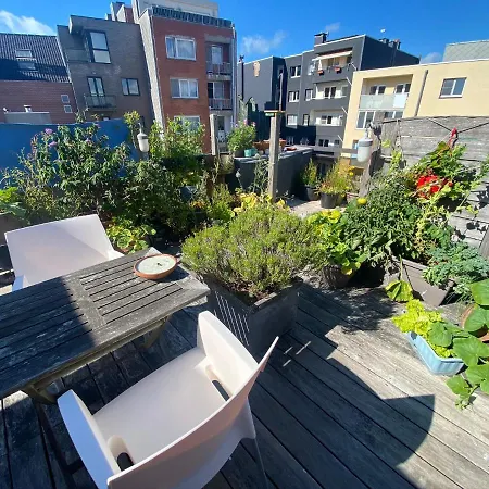 公寓 Great Family Appartement Terrace Center Ostend
